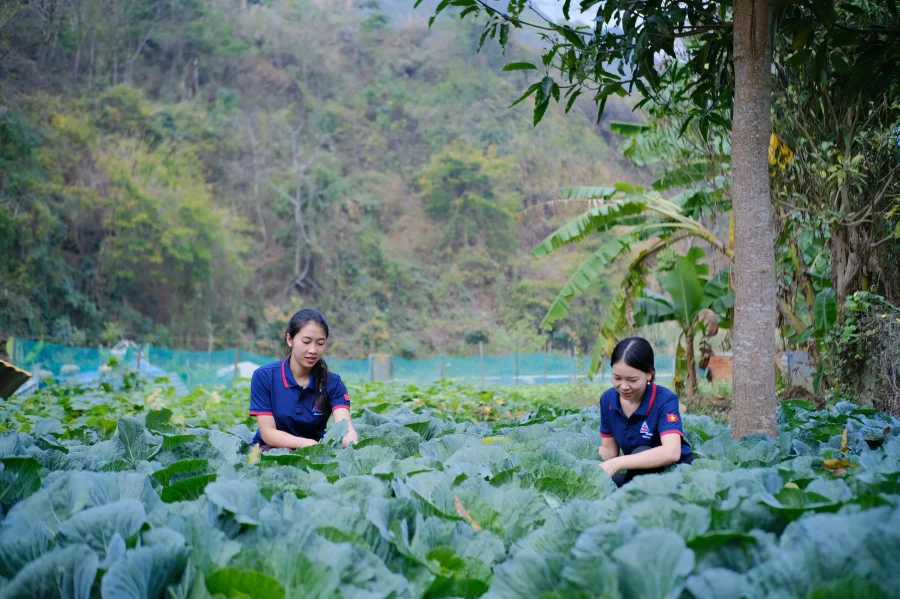 7.Gắn bó từ lao động đến đời thường